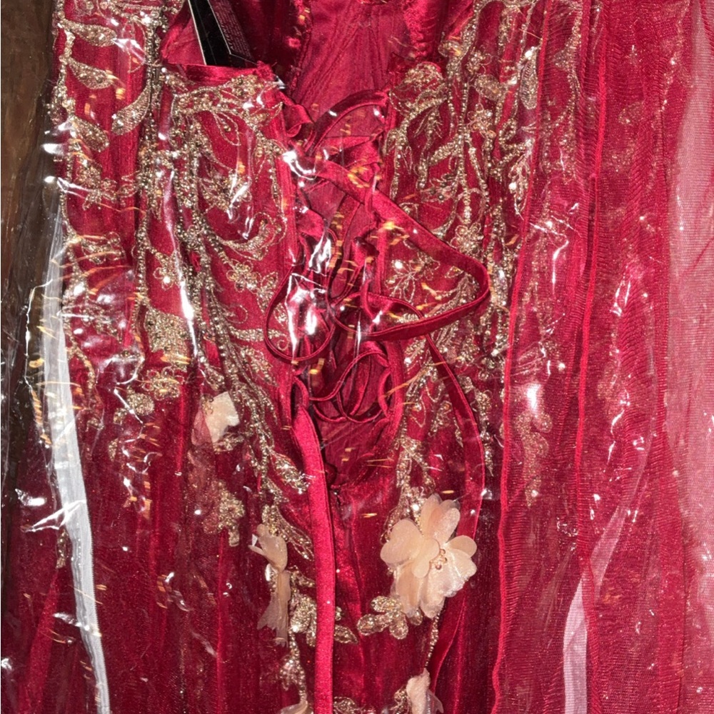 Bliss Red Dress with Gold Detailing - Picture 5 of 5